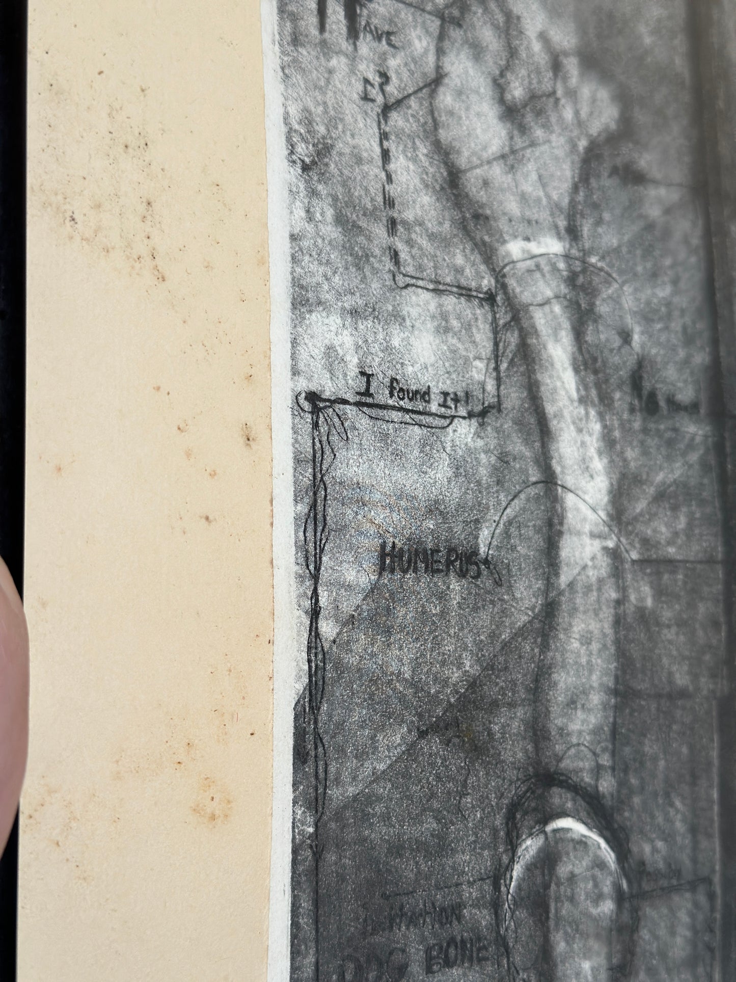 I Believe in Dogs by Buzzy Broad