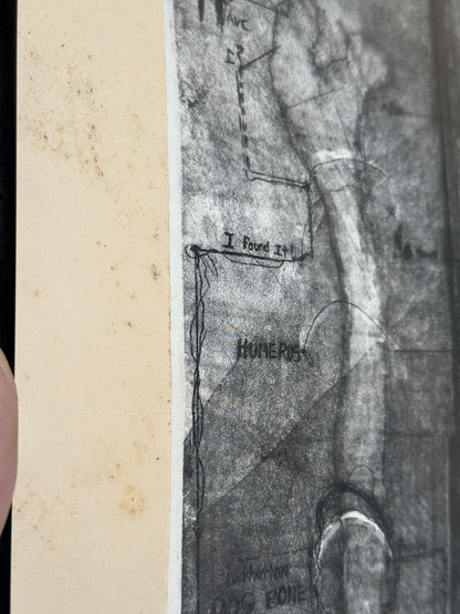 I Believe in Dogs by Buzzy Broad