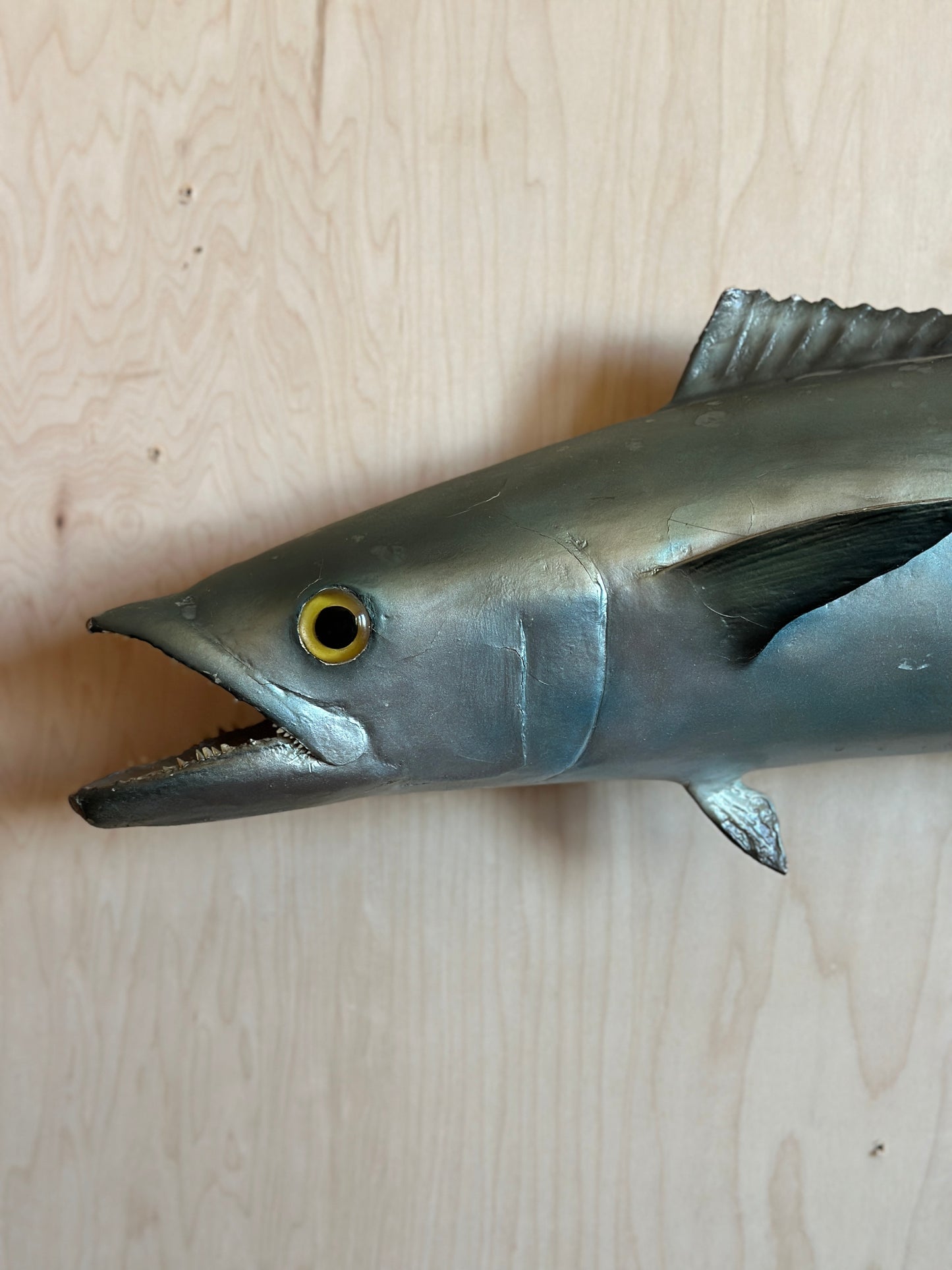 Kingfish Mount