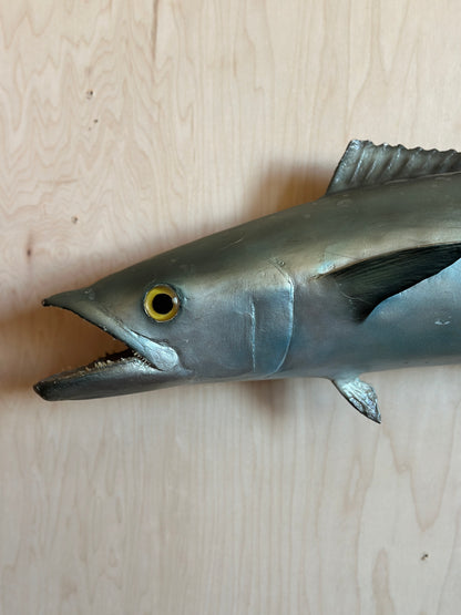 Kingfish Mount