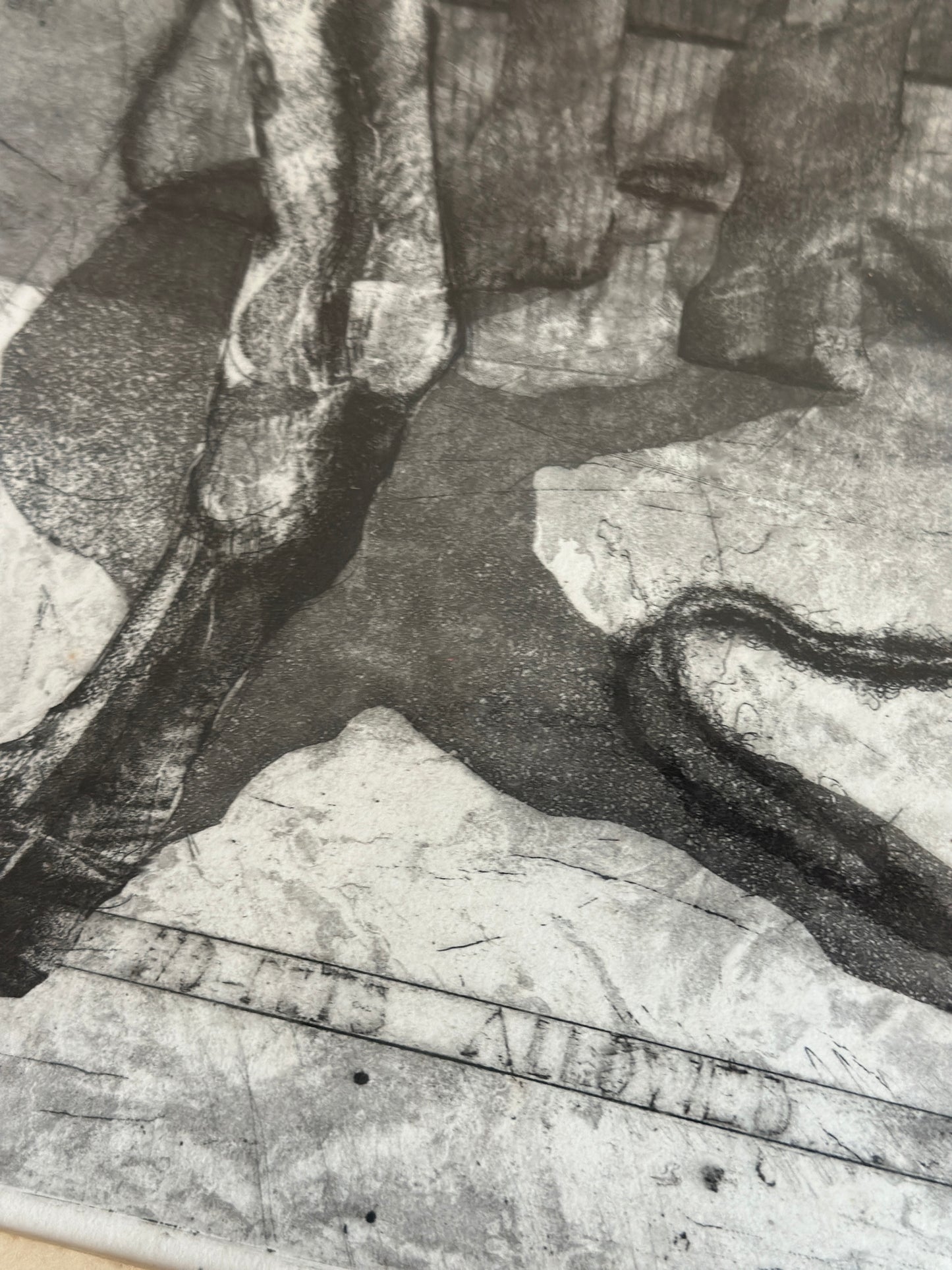 I Believe in Dogs by Buzzy Broad