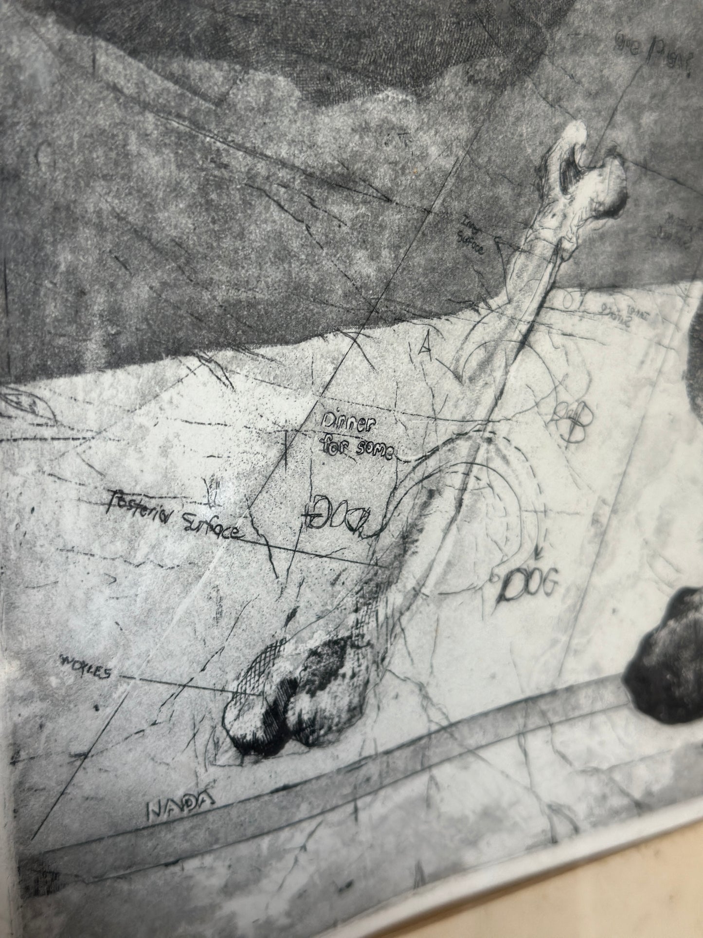 I Believe in Dogs by Buzzy Broad