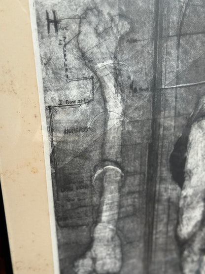 I Believe in Dogs by Buzzy Broad