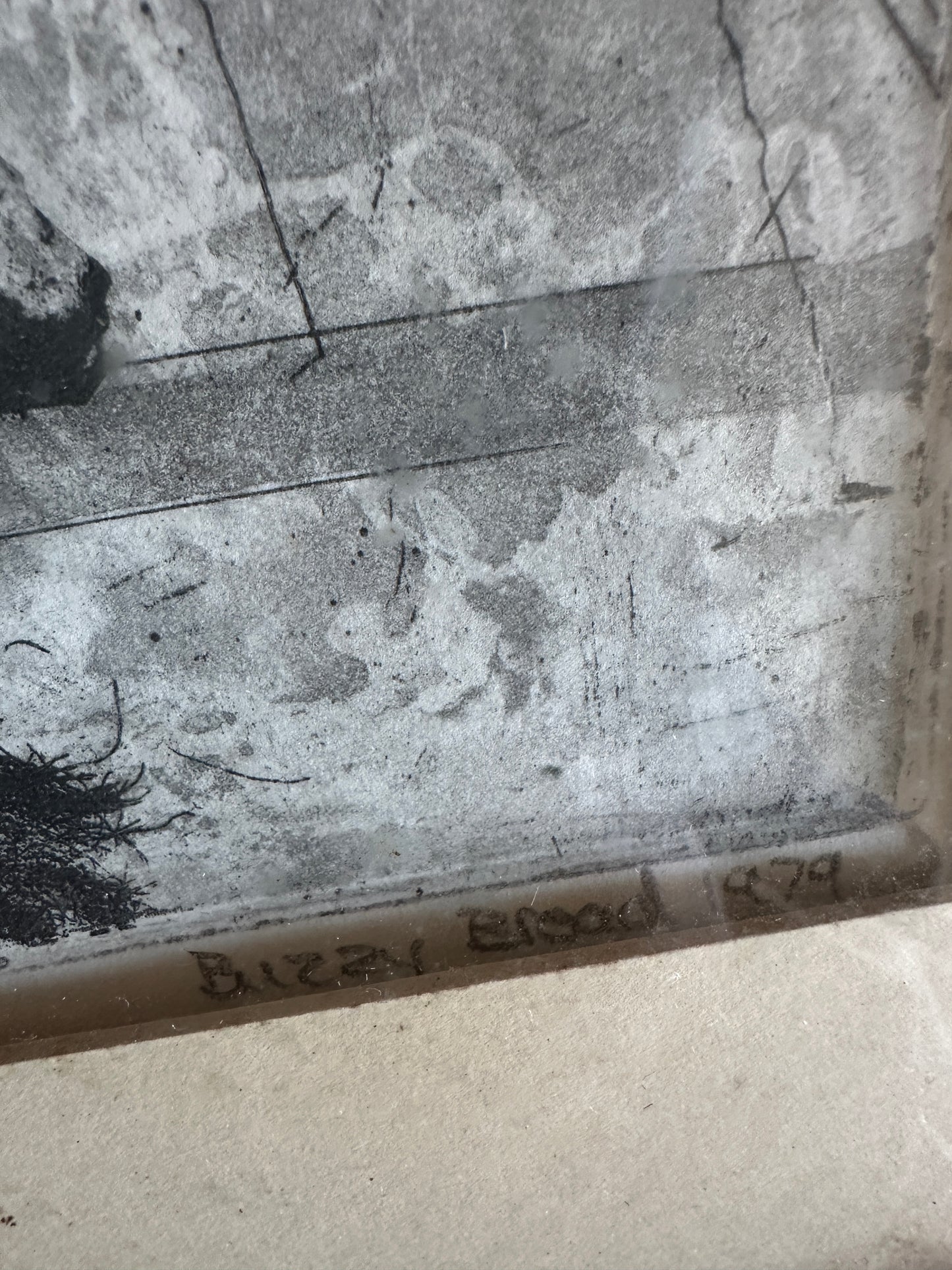 I Believe in Dogs by Buzzy Broad