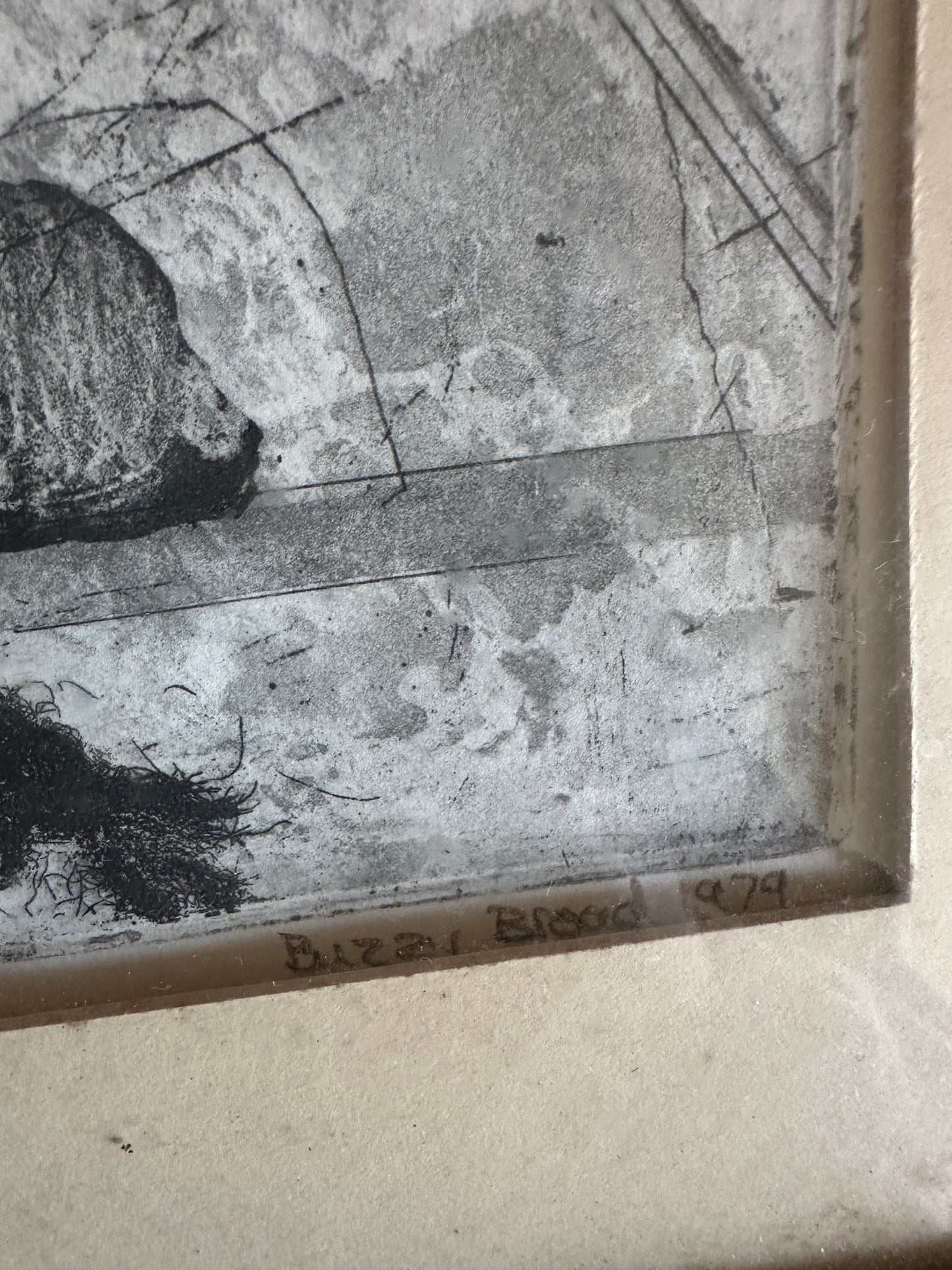 I Believe in Dogs by Buzzy Broad