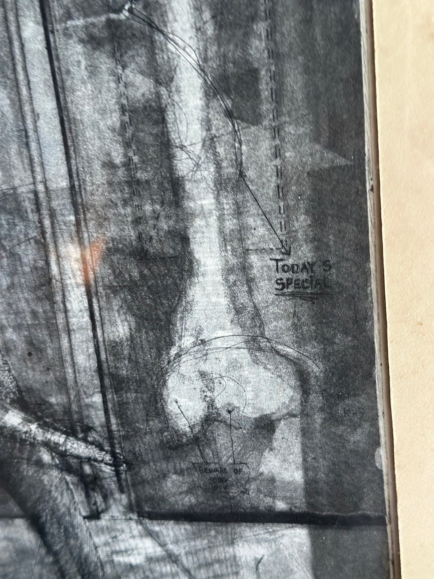 I Believe in Dogs by Buzzy Broad