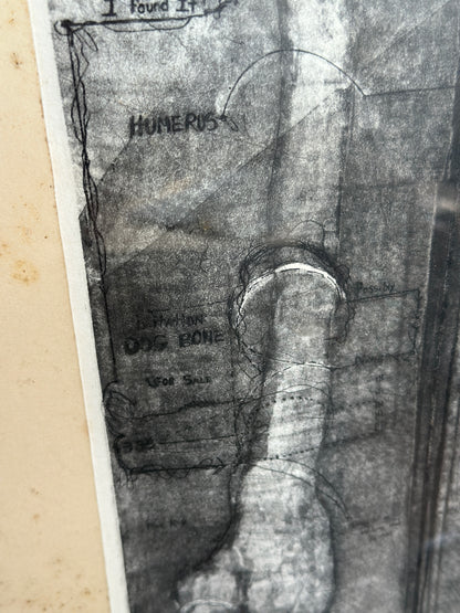 I Believe in Dogs by Buzzy Broad