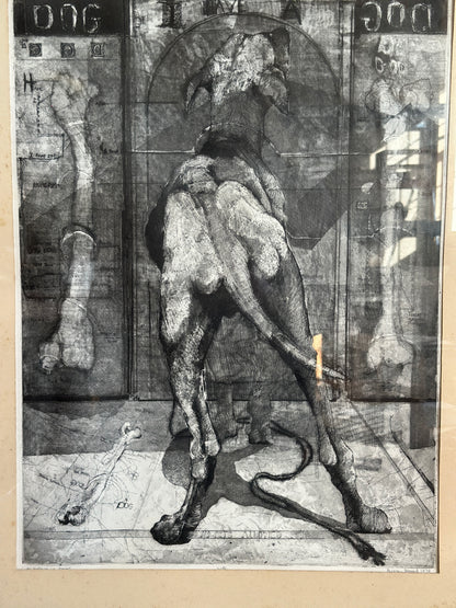 I Believe in Dogs by Buzzy Broad